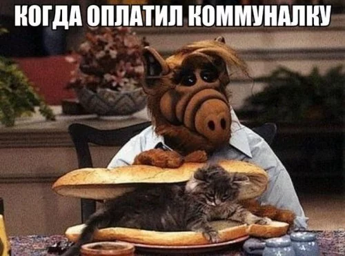 6jagjd.webp