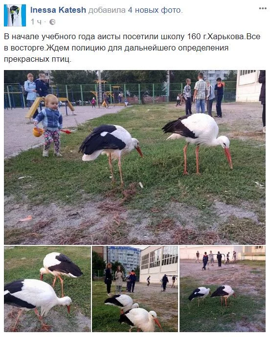 6jgaje.webp