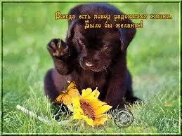 6jjhbf.webp