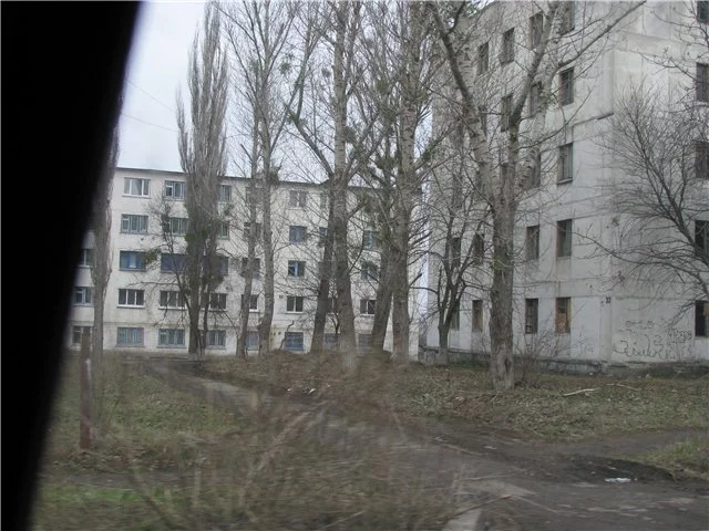 6jjjaf.webp
