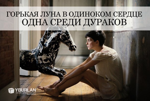 6K5KTnA65qE.jpg