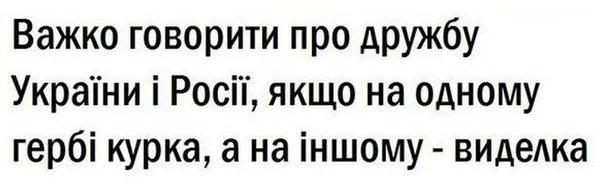 6O-KE9ixf1E.webp