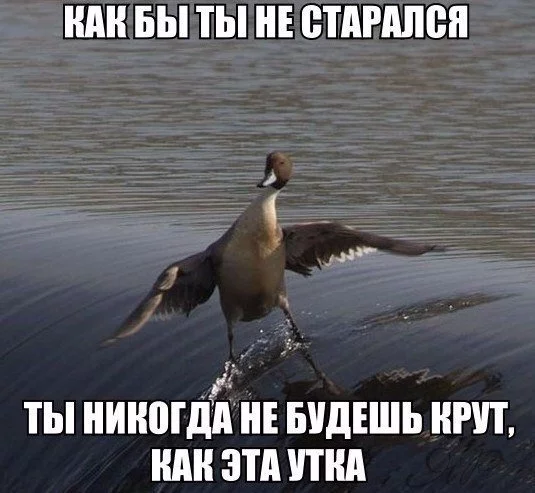 6TVVNhUEAPI.webp