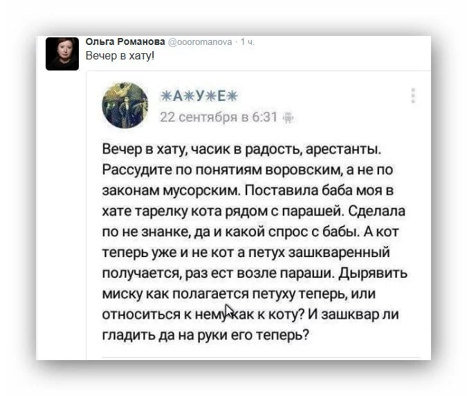 6y_ifaz-sbq-jpg.webp