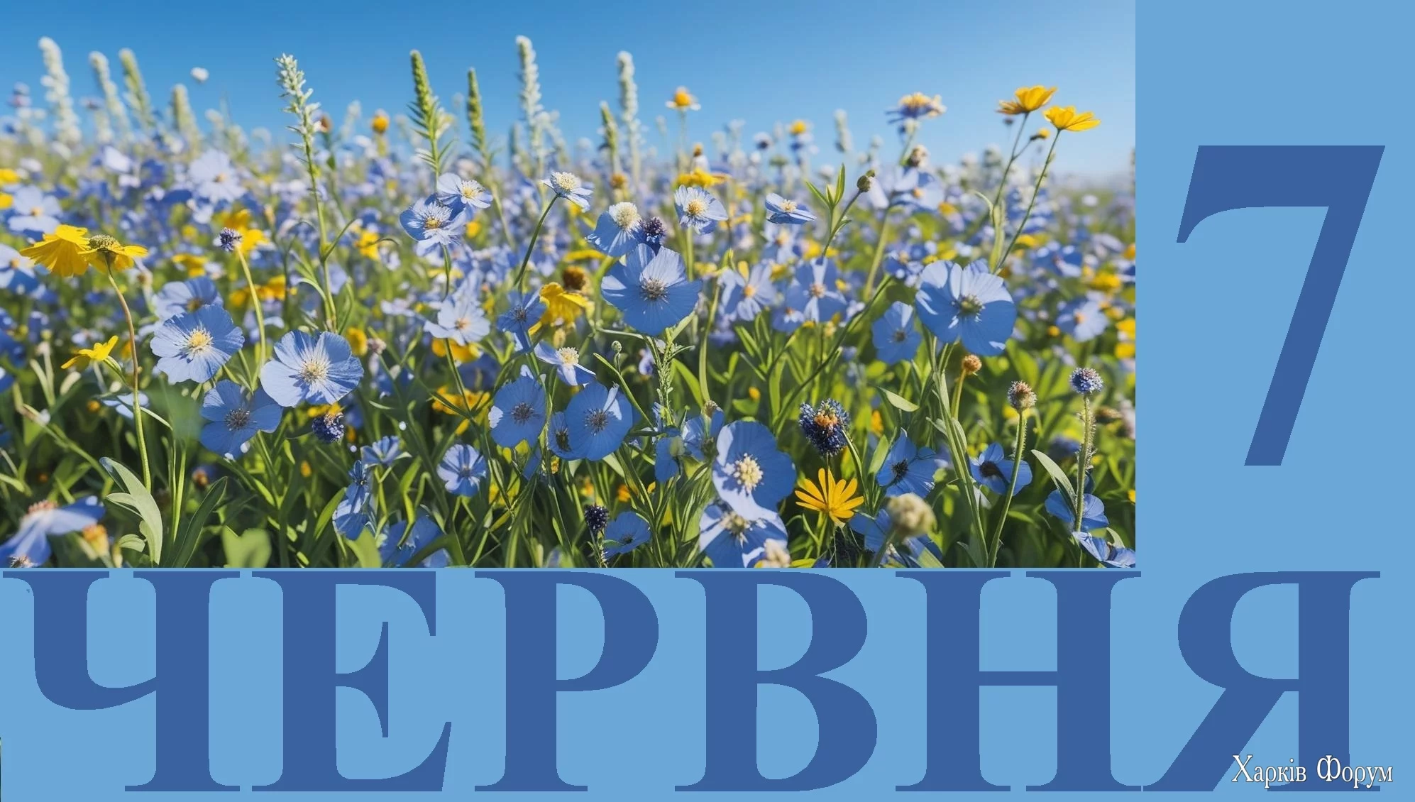 7-CHERVNYA.webp