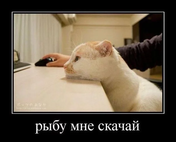 7-jpg.webp