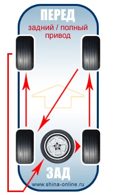 7.webp