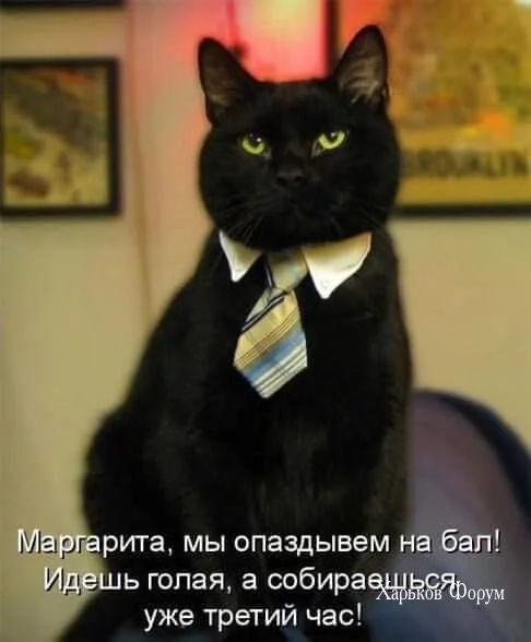 70010c6a8ceb95fb125f246.webp