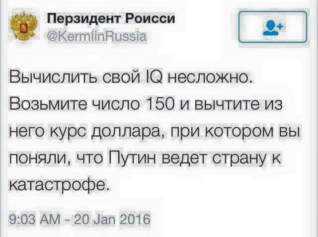 7009395.jpg