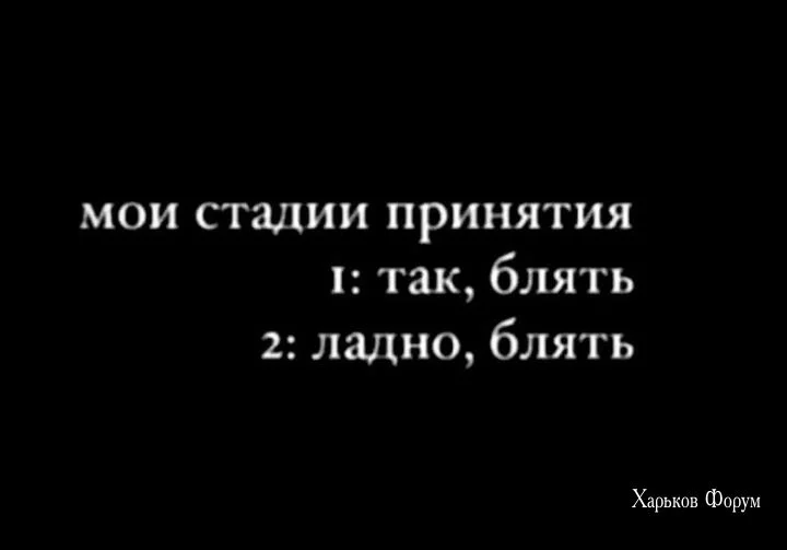700990dd9b4c9cb6546043b.webp