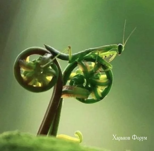 700af8010b8eb9ec4e652241.webp