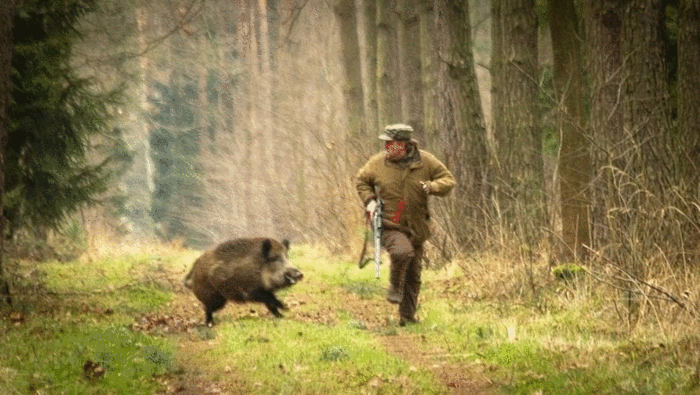 700x395_ohotnik.gif