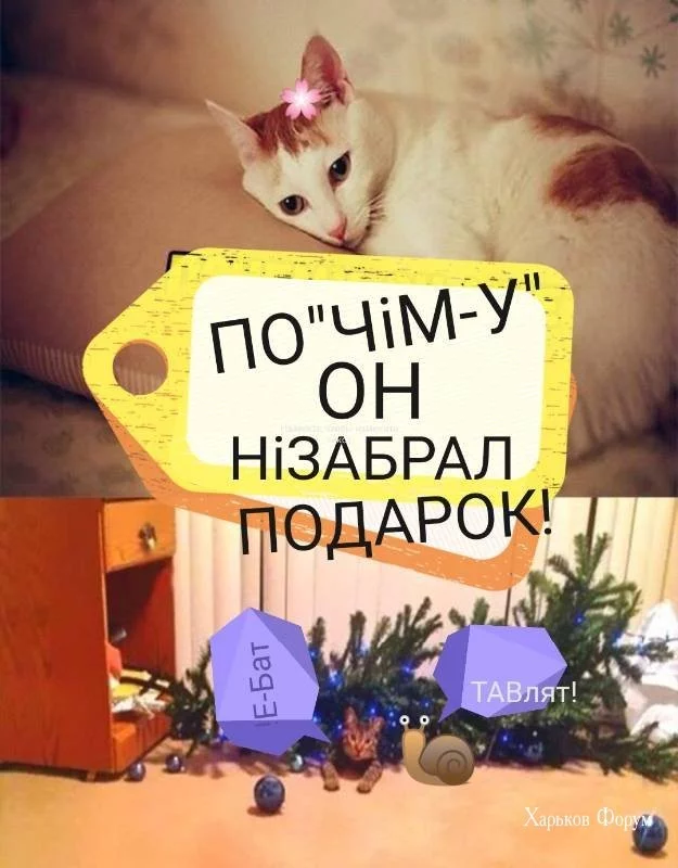 70200c320cadfd2e8e.webp