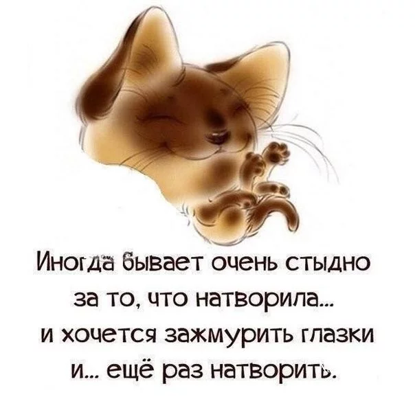 7021719c1f858bad.webp