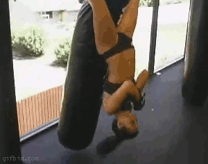 7023328717068e658b8b8.gif