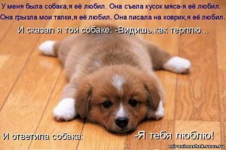 7037593377754.webp