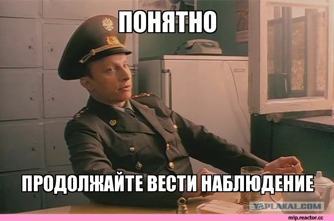 7039808.webp