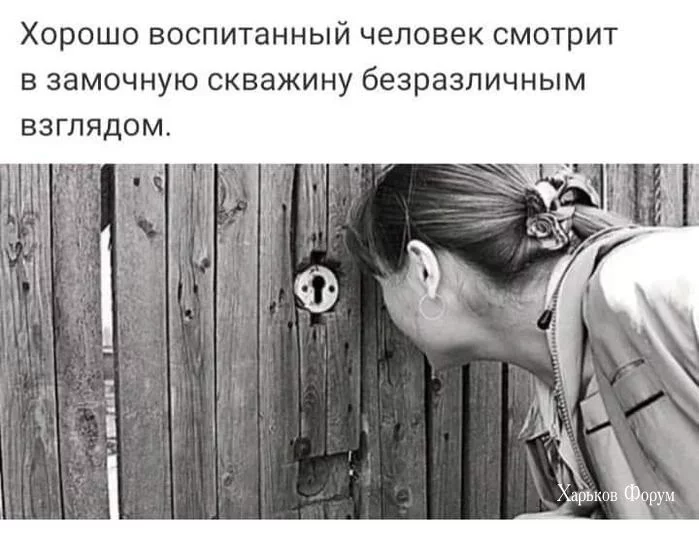 7051bee13205bb013487837f.webp