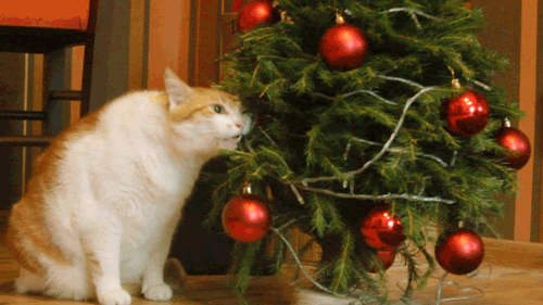 705e1ab37dec3577c084888e.gif