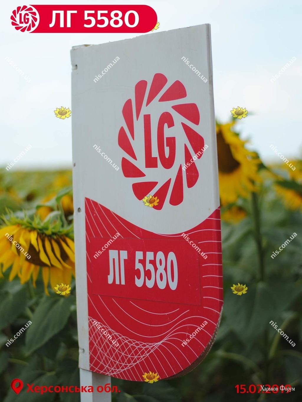 706112627f39b79e75155c.jpg
