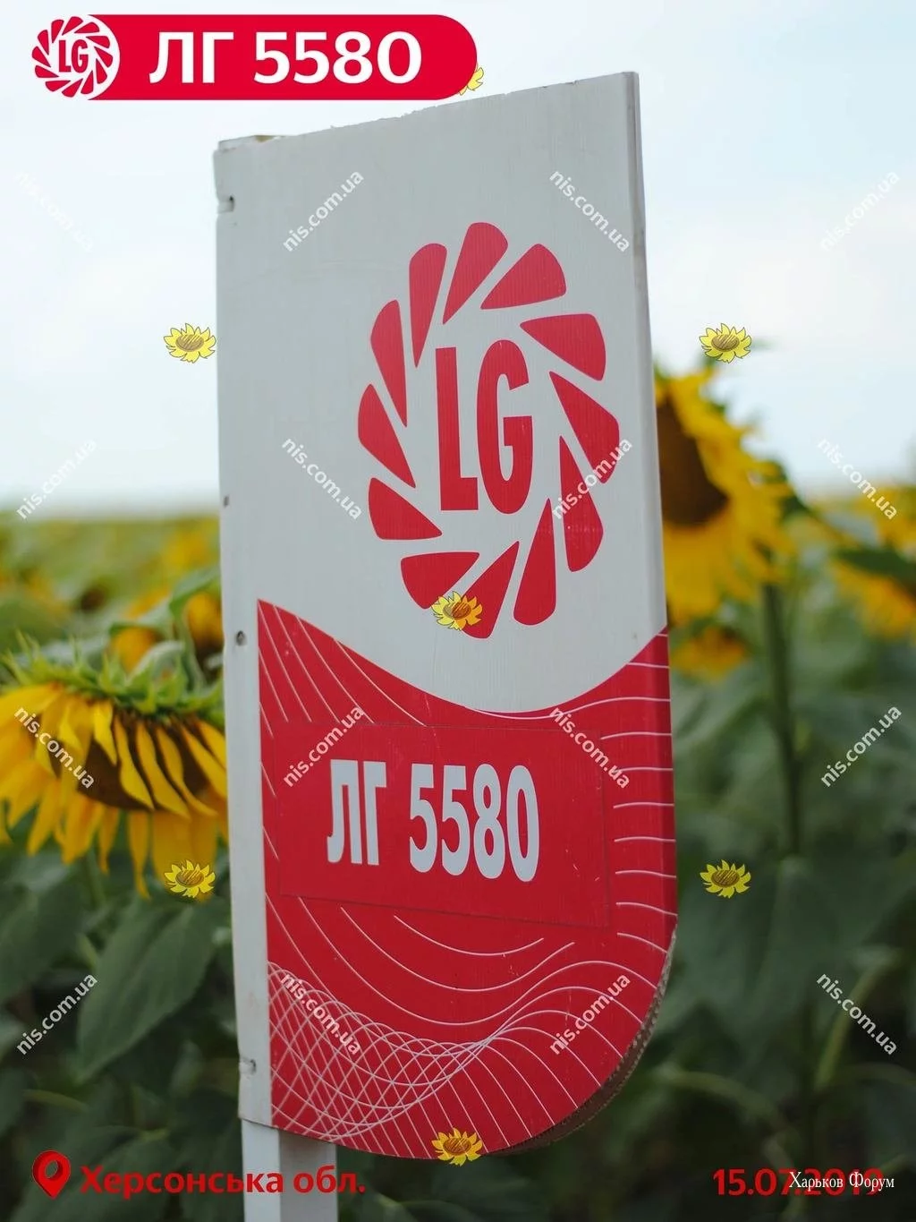 706112627f39b79e75155c.webp