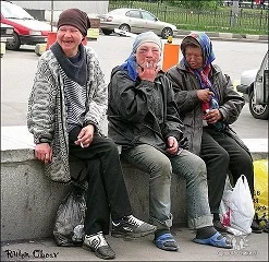 7068.webp
