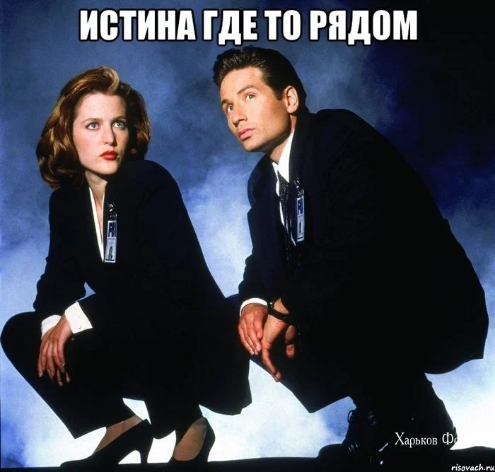 7074a825f60a2fcede318558.webp