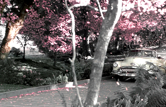 708206ee721a24422e14e5b9657bfbc65ed5f6e4.gif