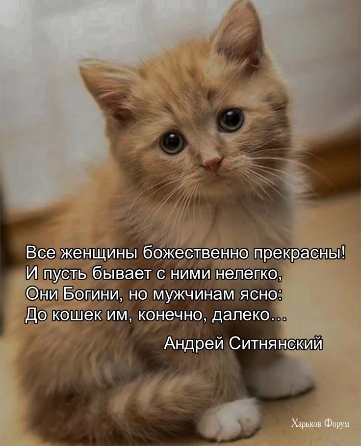 70857a61b622a10fd9ad.webp