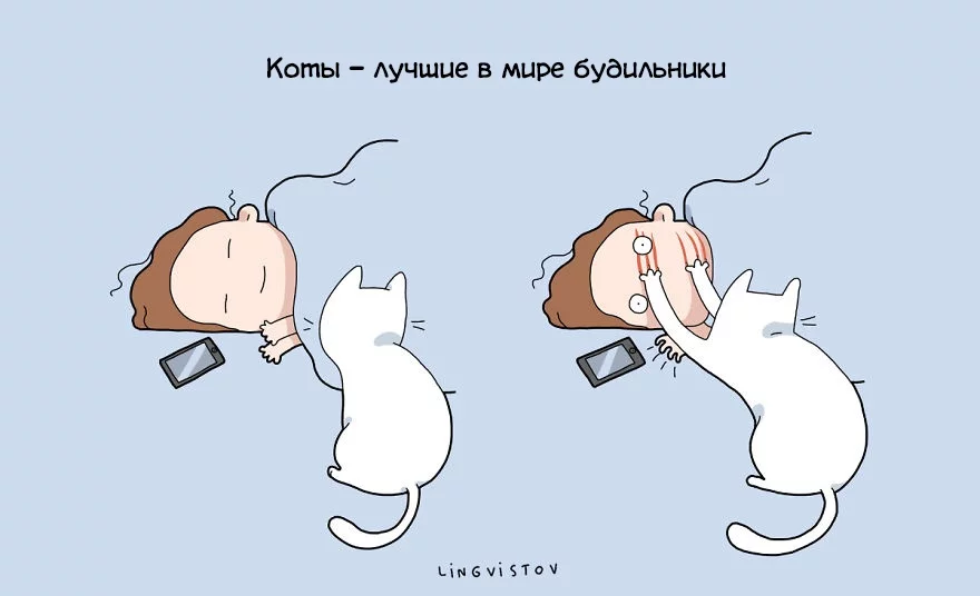 7087500.webp