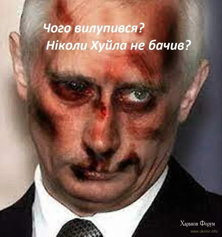 7089399eb35df04d4d51.webp