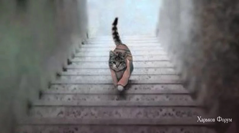 70b2231c2070bdc6bb66b7.webp