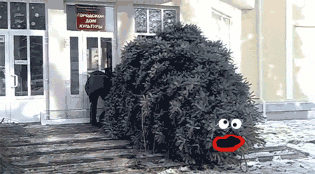 70ca6c575d59fbddc.gif