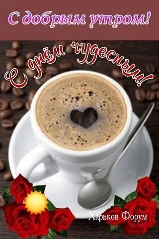 70cae3df3e455a017a9.webp