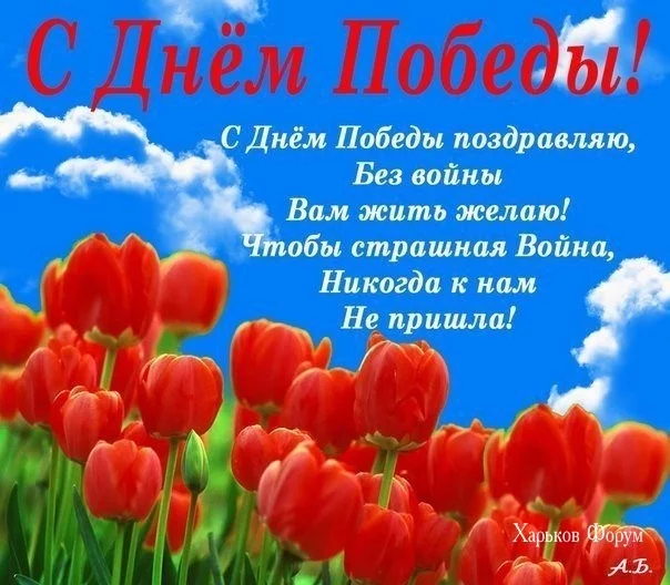 70e24455237b741f8d.webp
