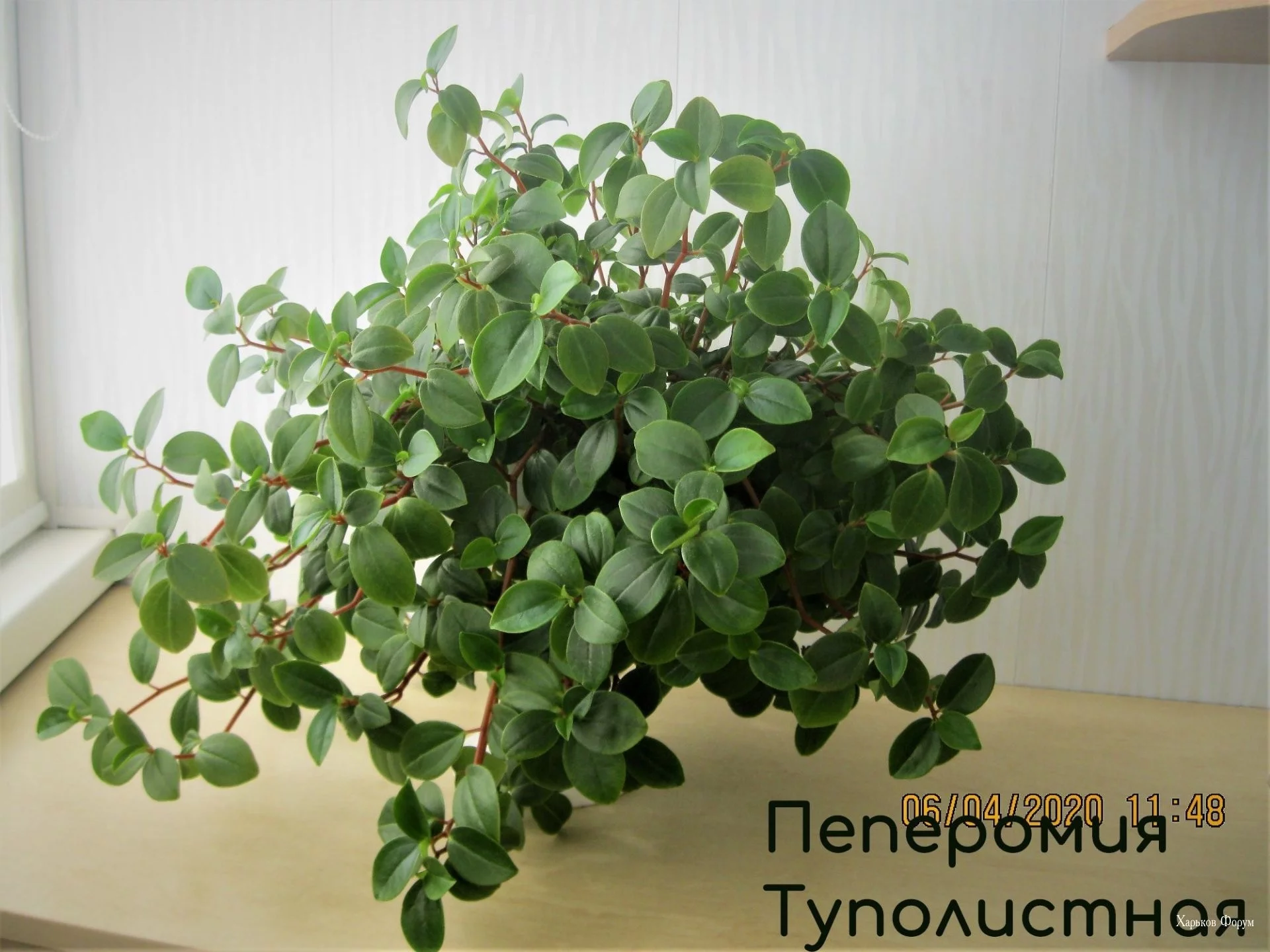 70f016a651aba2ac483d64.webp