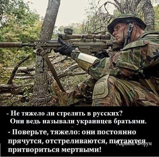 70f22618f61abc32cc.webp