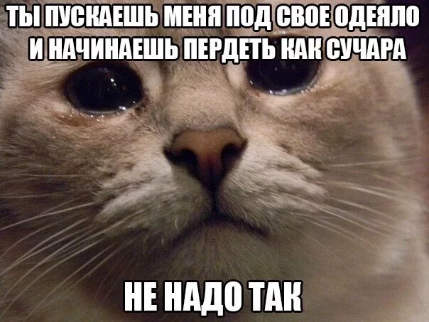 7104911.webp