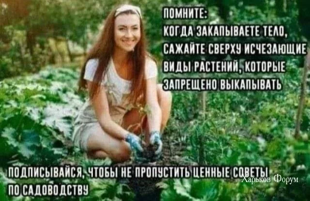 71057157bad9098ed.webp