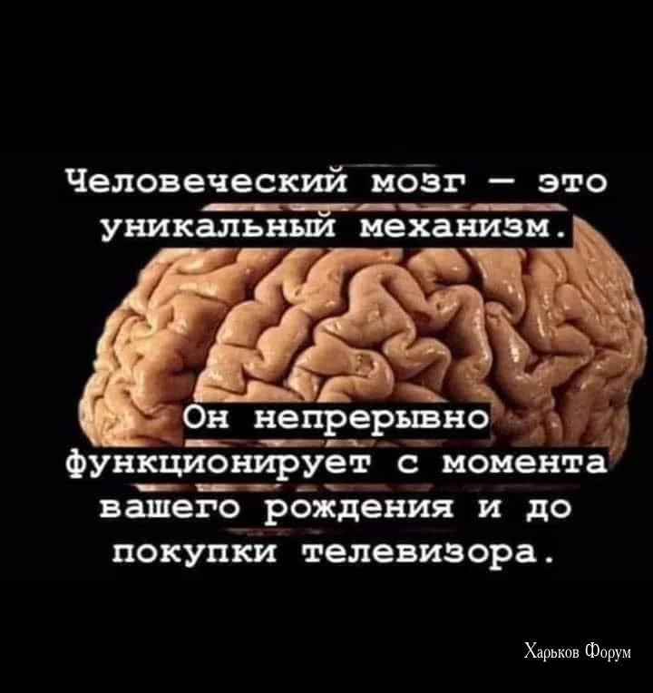 710b17e868e7dc05cf615660.webp