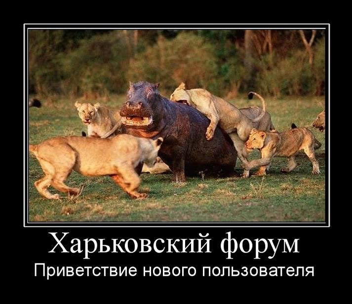 712560636b6802cb5e768ac30e5ac5ef.jpg