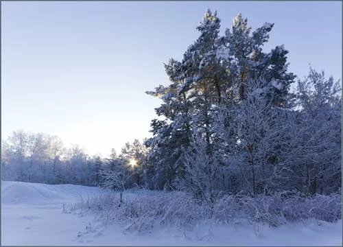 71286820.webp