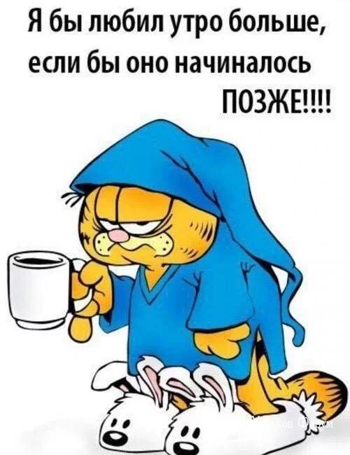 71400a4862eb16d8.webp
