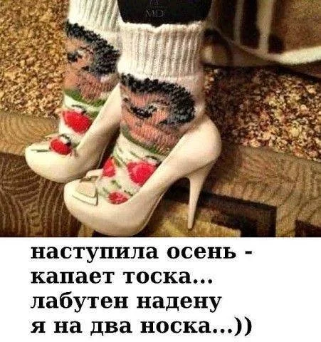 7144471199ae070c7e7.webp