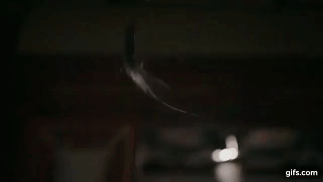 714bcae3378df5162553a88e2adabf1b085ebbf4.gif