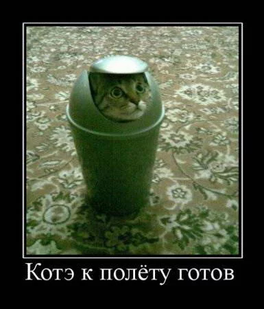 718353665.webp