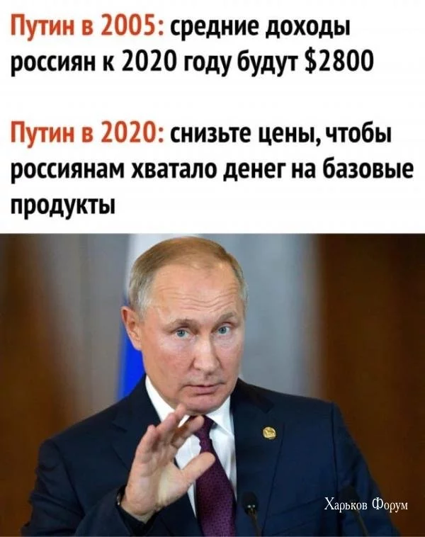 7186d51cb97494b4d202a616.webp
