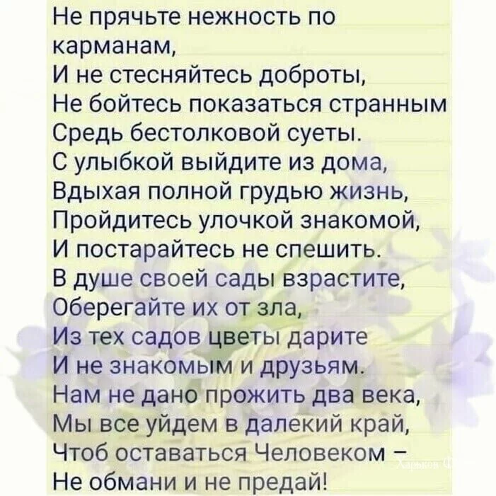 7197f301a3b1e17dd141c8dd.webp