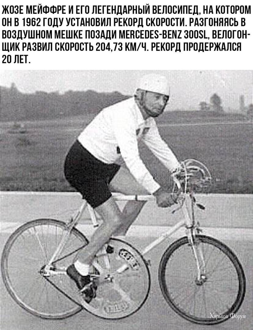71aaa8633e7ec0e77a.jpg