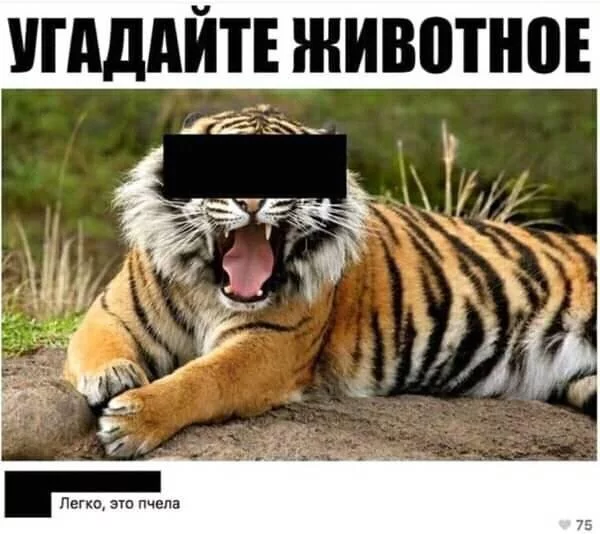 71afb6169485330a112f.webp